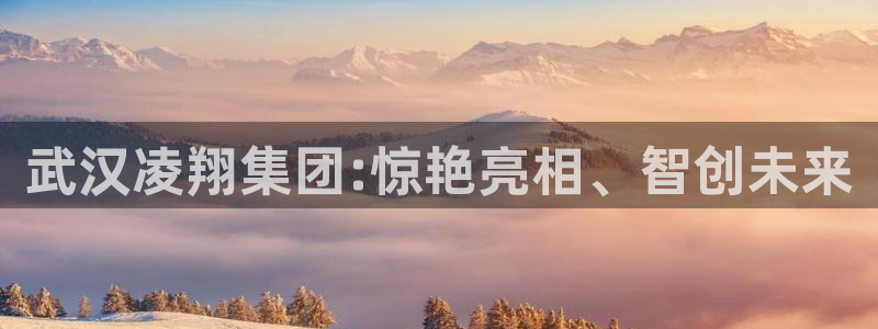 新航海娱乐会所电话：武汉凌翔集团:惊艳亮相、智创未来