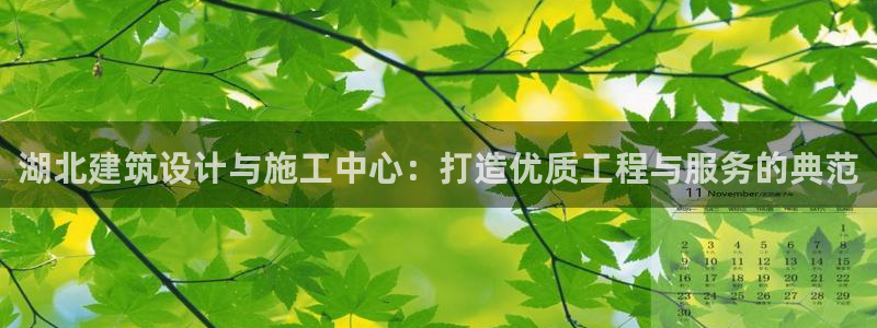 成都中创新航娱乐区：湖北建筑设计与施工中心：打造优质工程与服