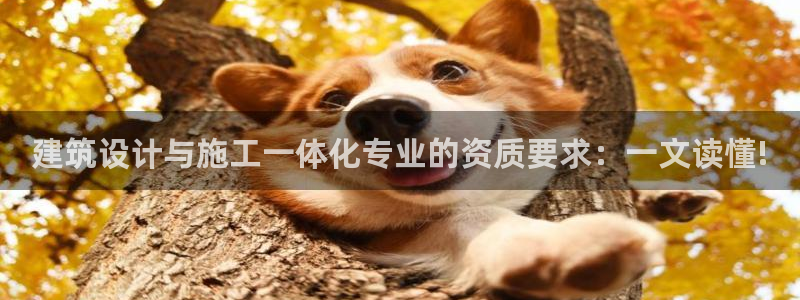 新航娱乐艺人
