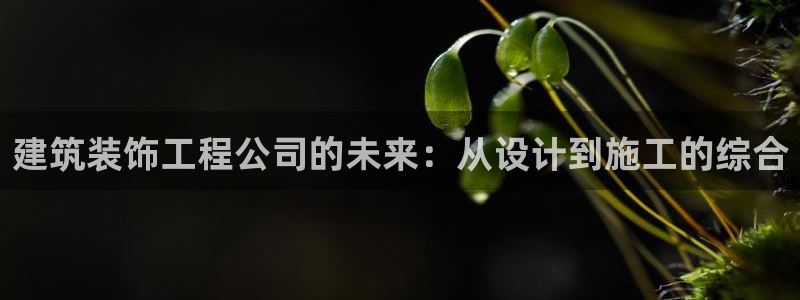 新航娱乐公司简介资料