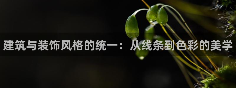 新航海娱乐会所电话