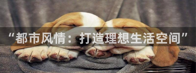 中国证券新航娱乐官网