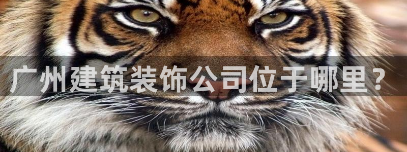 成都中创新航娱乐区