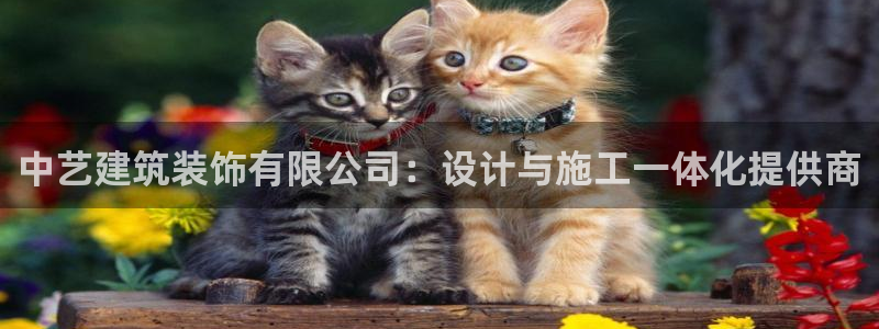 新航娱乐公司怎么样知乎