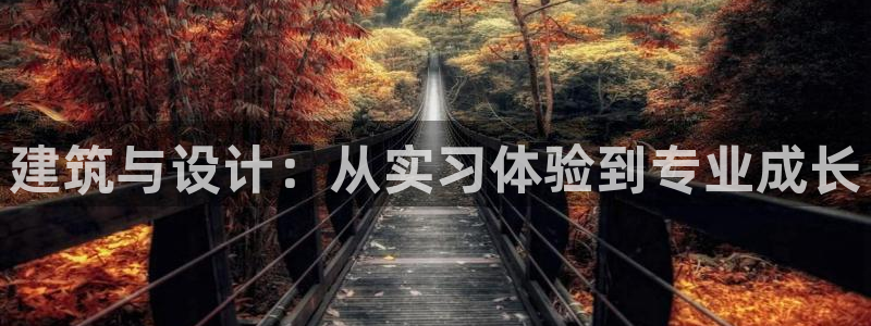 新航娱乐官网入口