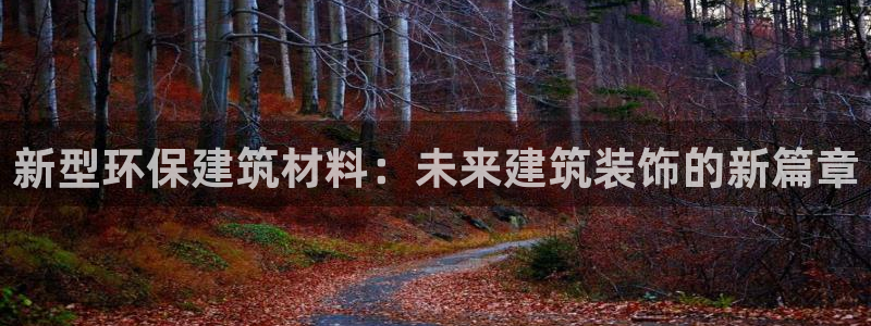 新航新客舱机上娱乐银