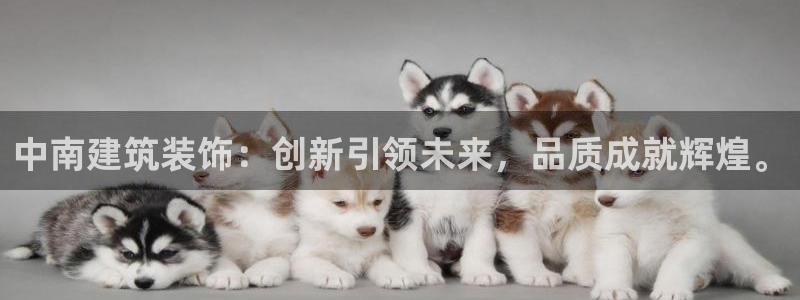 武汉中创新航娱乐室