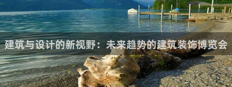 新航娱乐公司问题解决