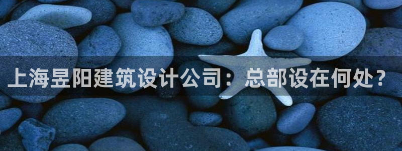 新航娱乐公司招聘信息网