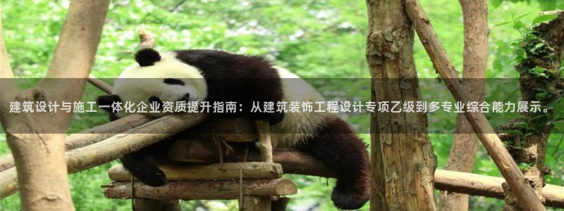 新航娱乐传媒