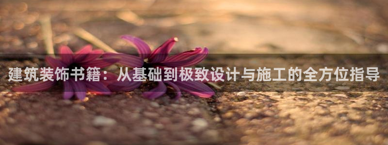 新航娱乐的最新动态报道