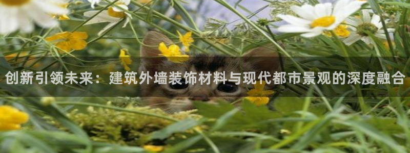 新航娱乐有限公司招聘