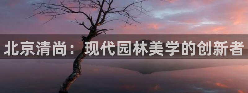 新航机上娱乐