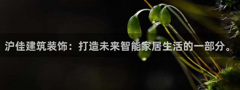 新航娱乐q