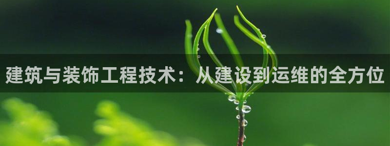 新航娱乐公司简介