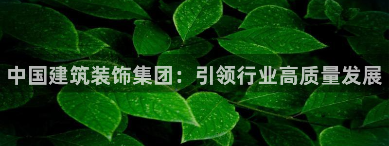 新航娱乐最新产品发布