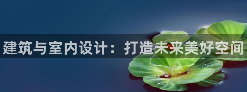 新航娱乐传媒怎么样知乎