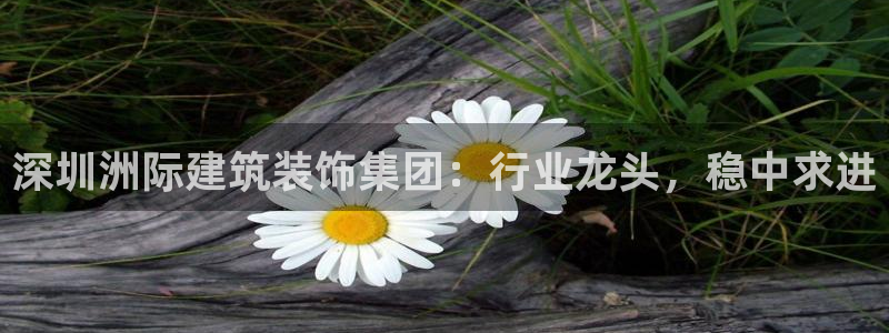 新航文化娱乐传媒怎么样