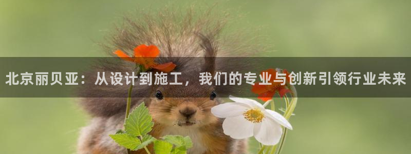 新航娱乐入新航娱乐怎么样