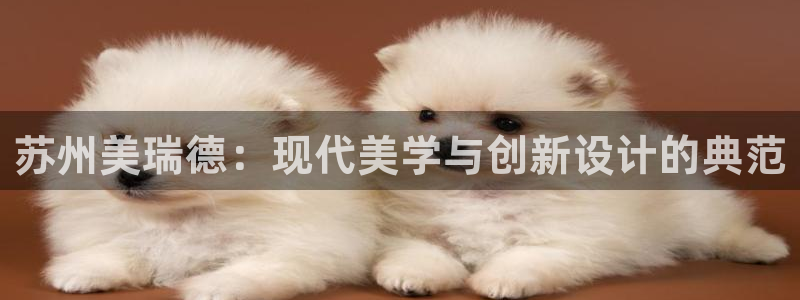 新航娱乐公司简介